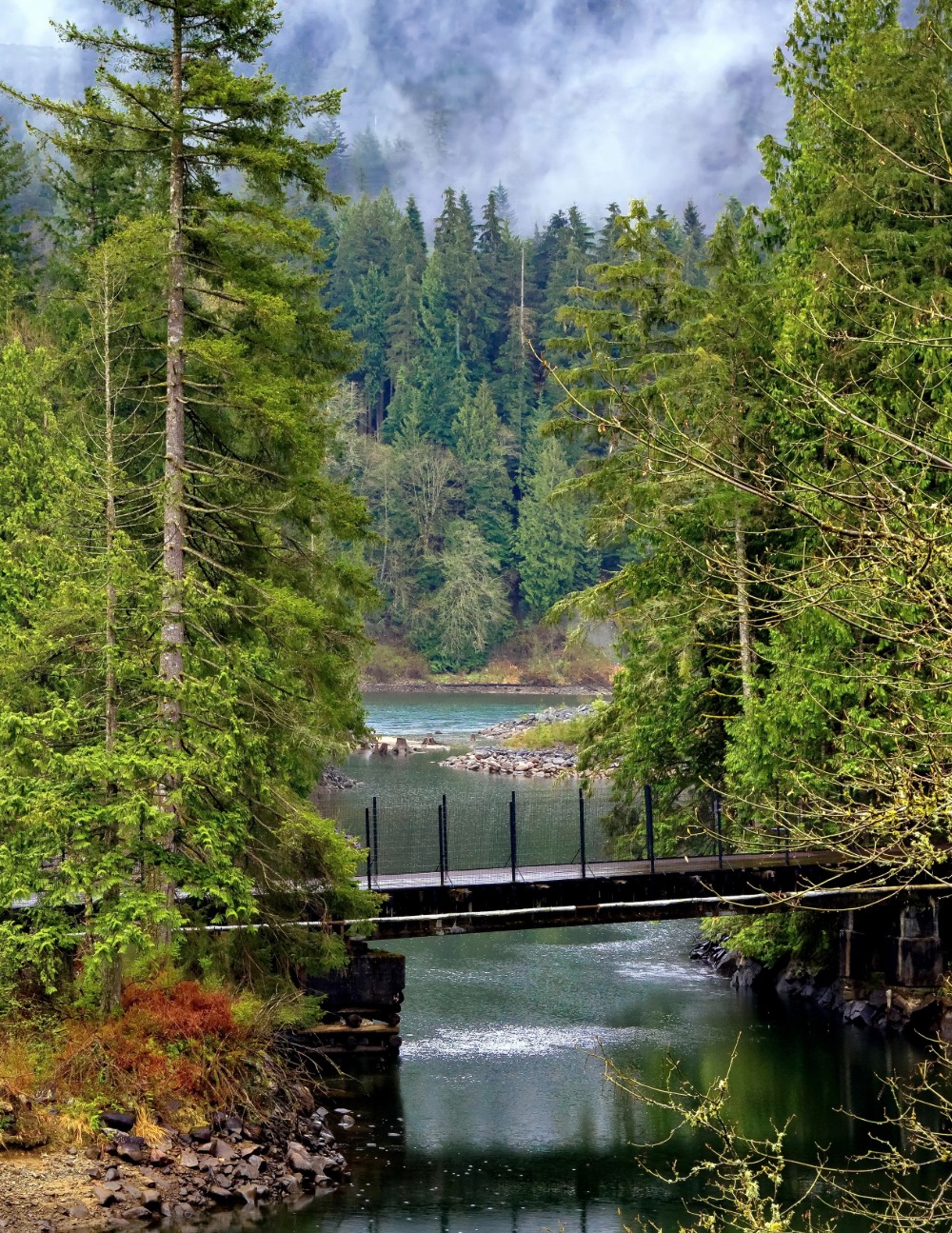 maple ridge water damage restoration