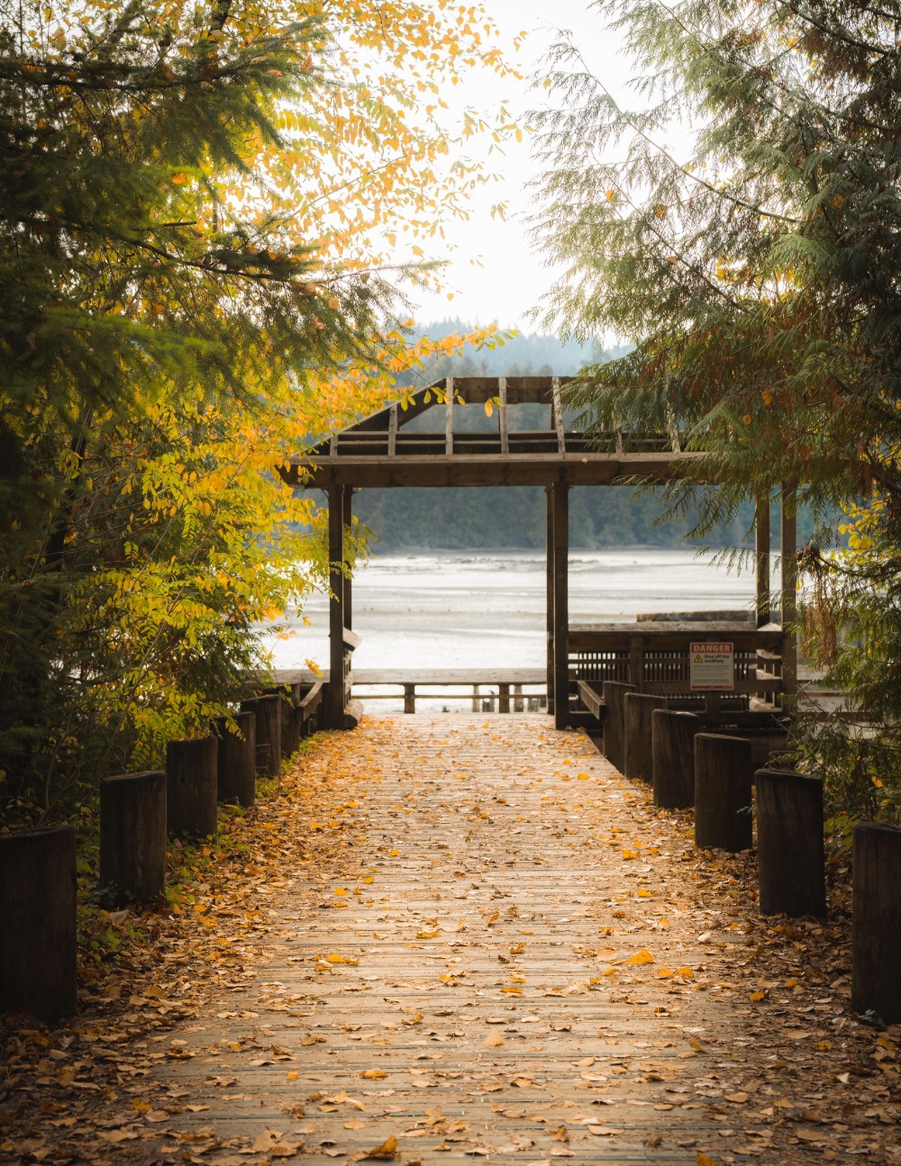 Water Damage Restoration Company in Port Moody