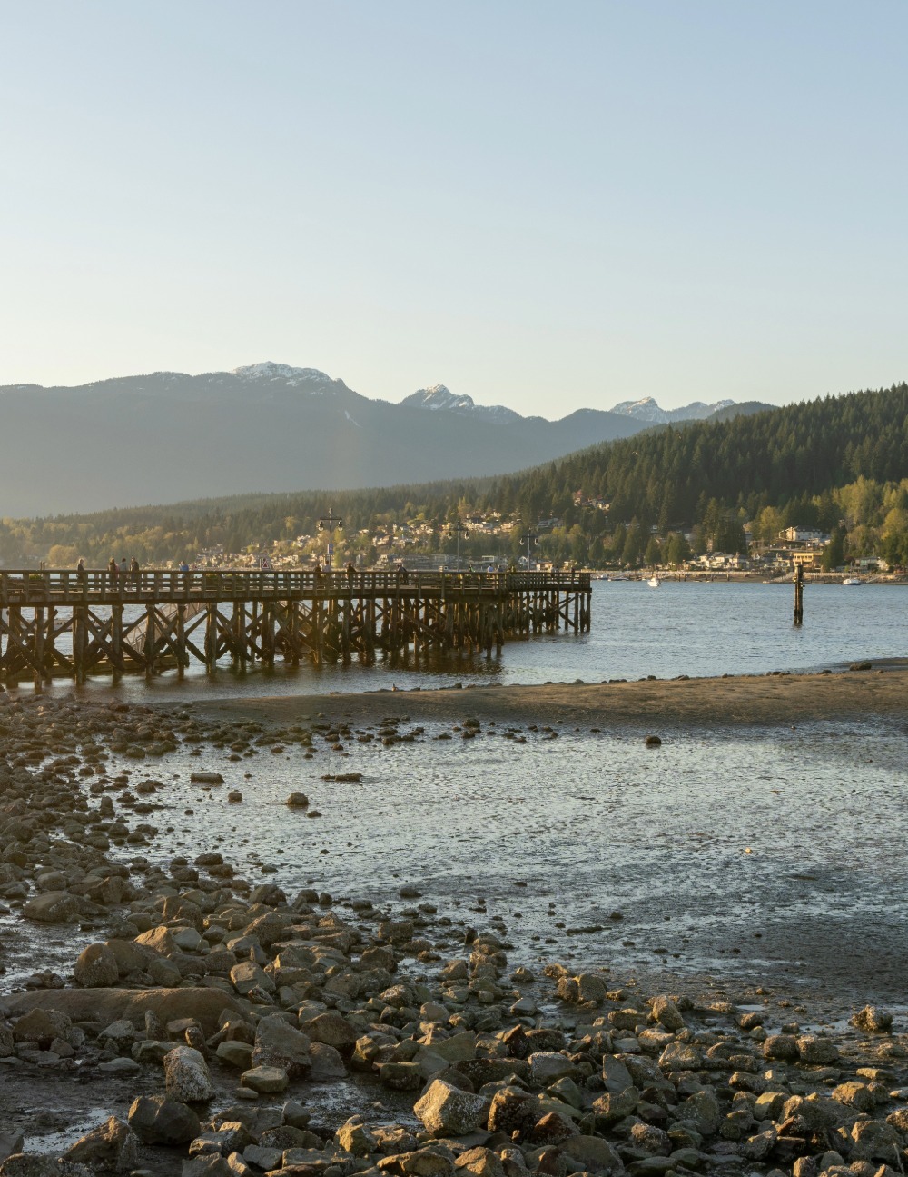 Port Moody Emergency Restoration